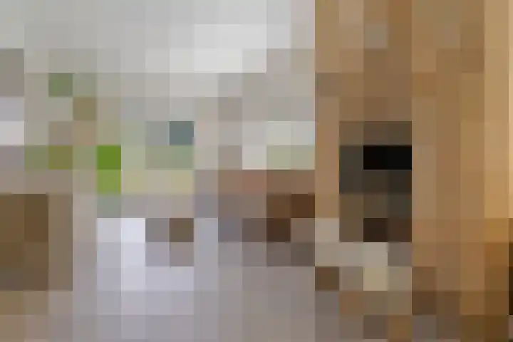 Eemnesserweg 23 Huizen thumbnail 5