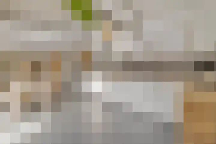 Eemnesserweg 23 Huizen thumbnail 9