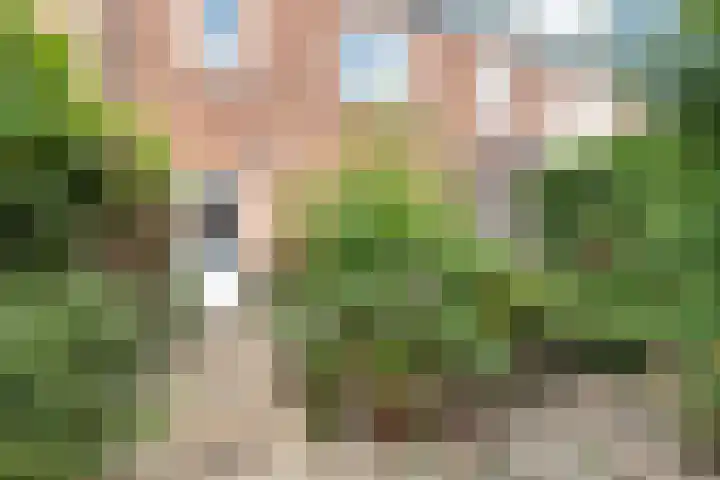Eemnesserweg 238 Hilversum thumbnail 11