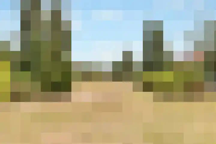 Eemnesserweg 238 Hilversum thumbnail 24