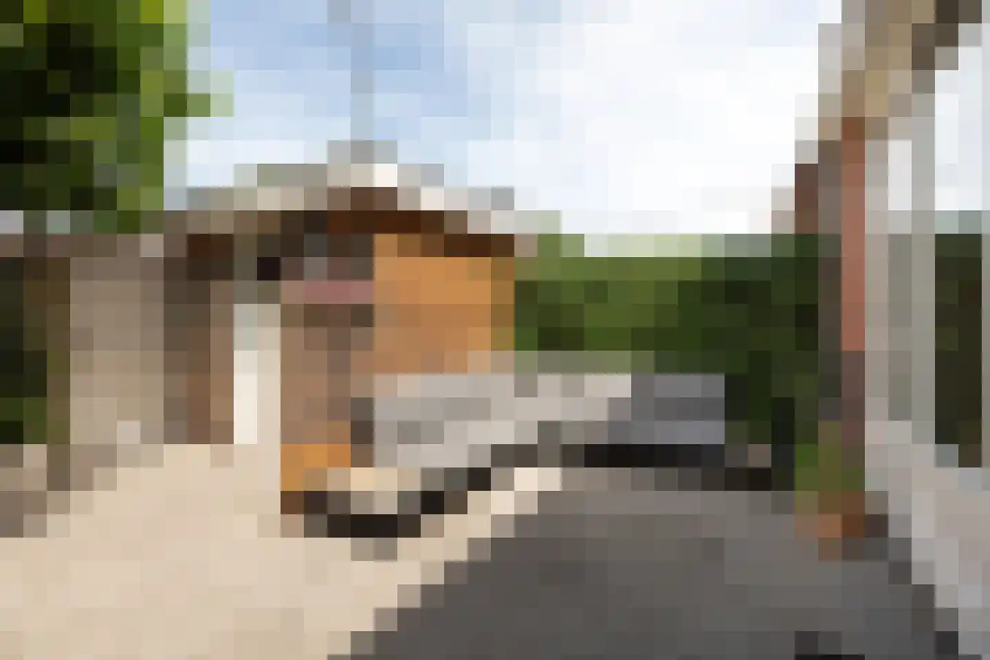 Eemnesserweg 247 Hilversum thumbnail 30