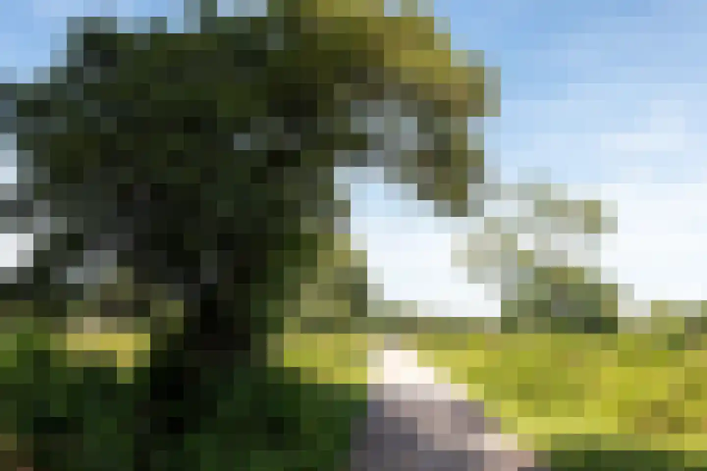 Eemnesserweg 247 Hilversum thumbnail 34