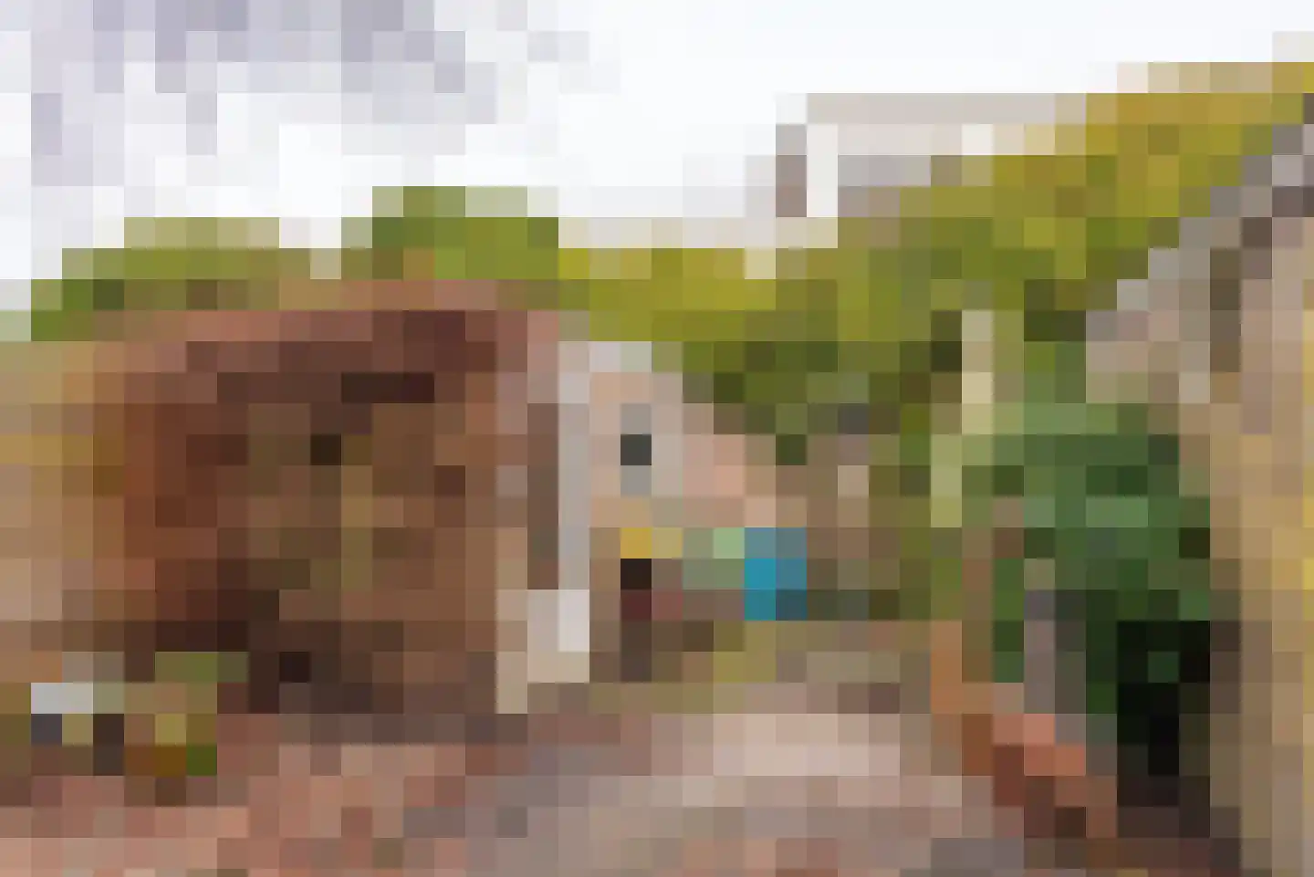 Eemnesserweg 25 Hilversum thumbnail 12