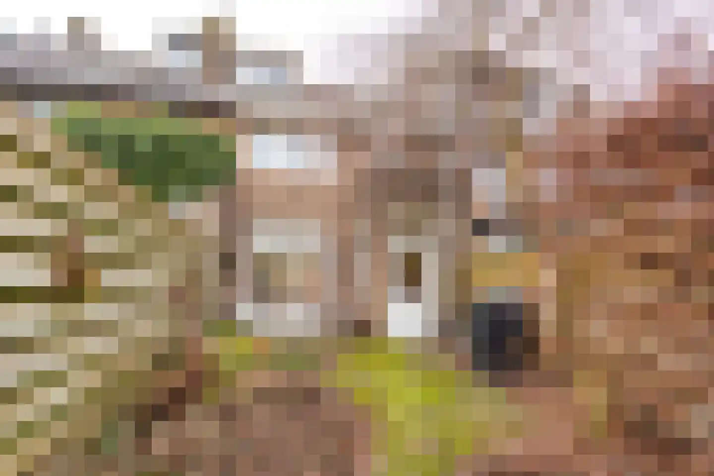Eemnesserweg 25 Hilversum thumbnail 13