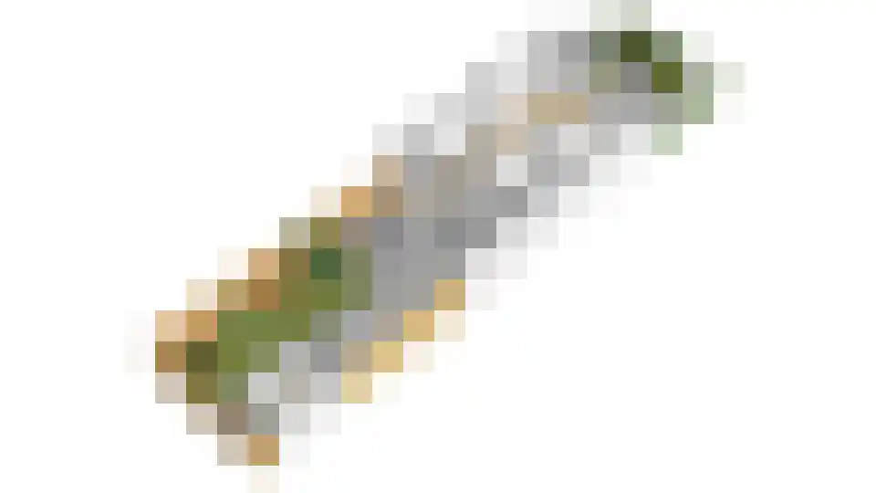 Eemnesserweg 25 Hilversum thumbnail 47