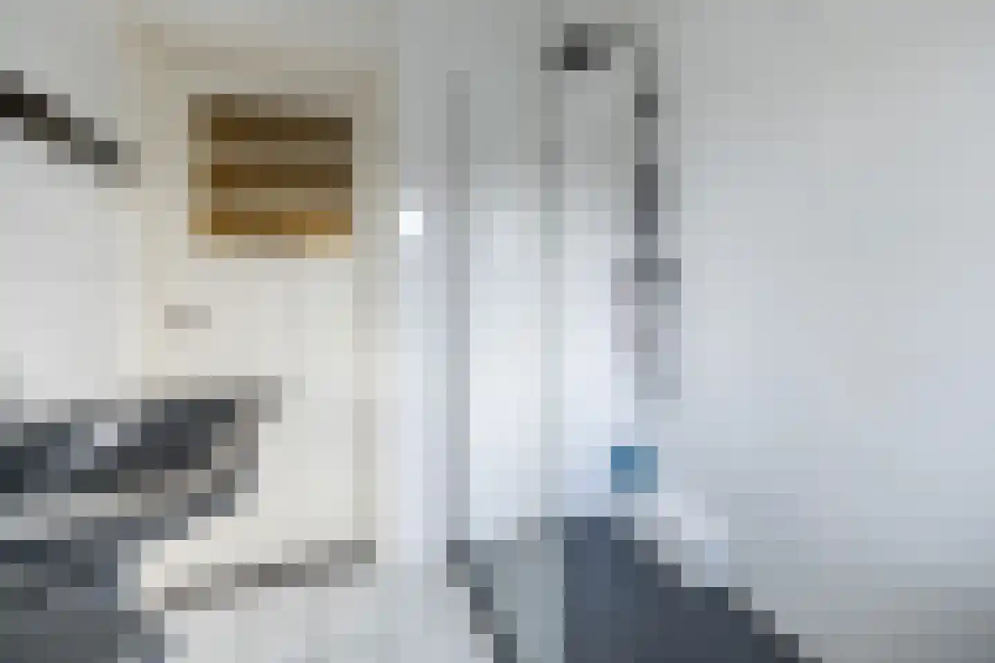 Eemnesserweg 255 Hilversum thumbnail 33