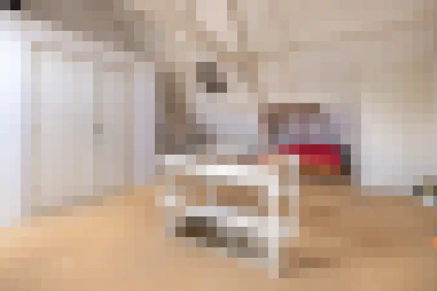 Eemnesserweg 255 Hilversum thumbnail 36