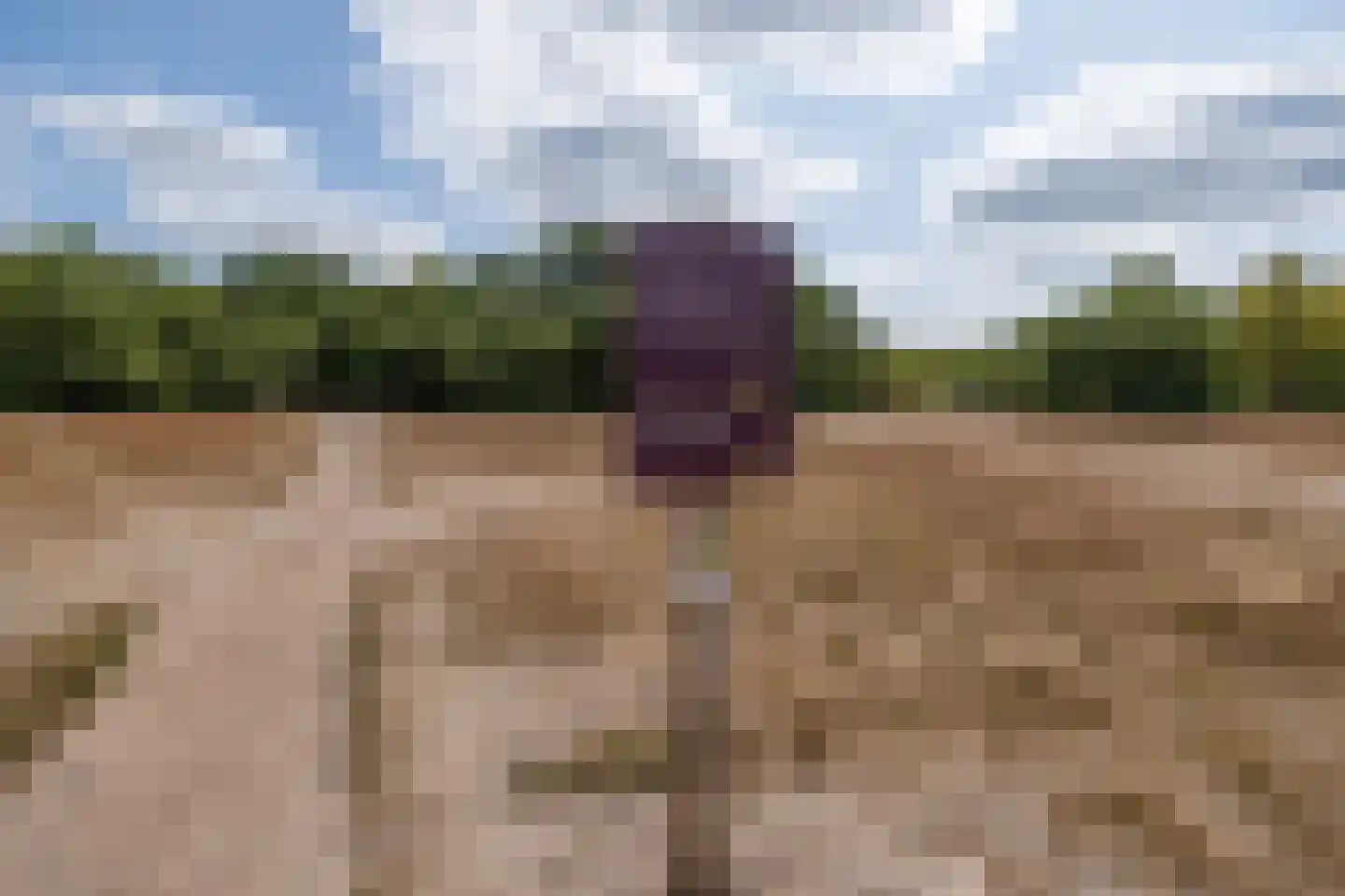 Eemnesserweg 255 Hilversum thumbnail 55
