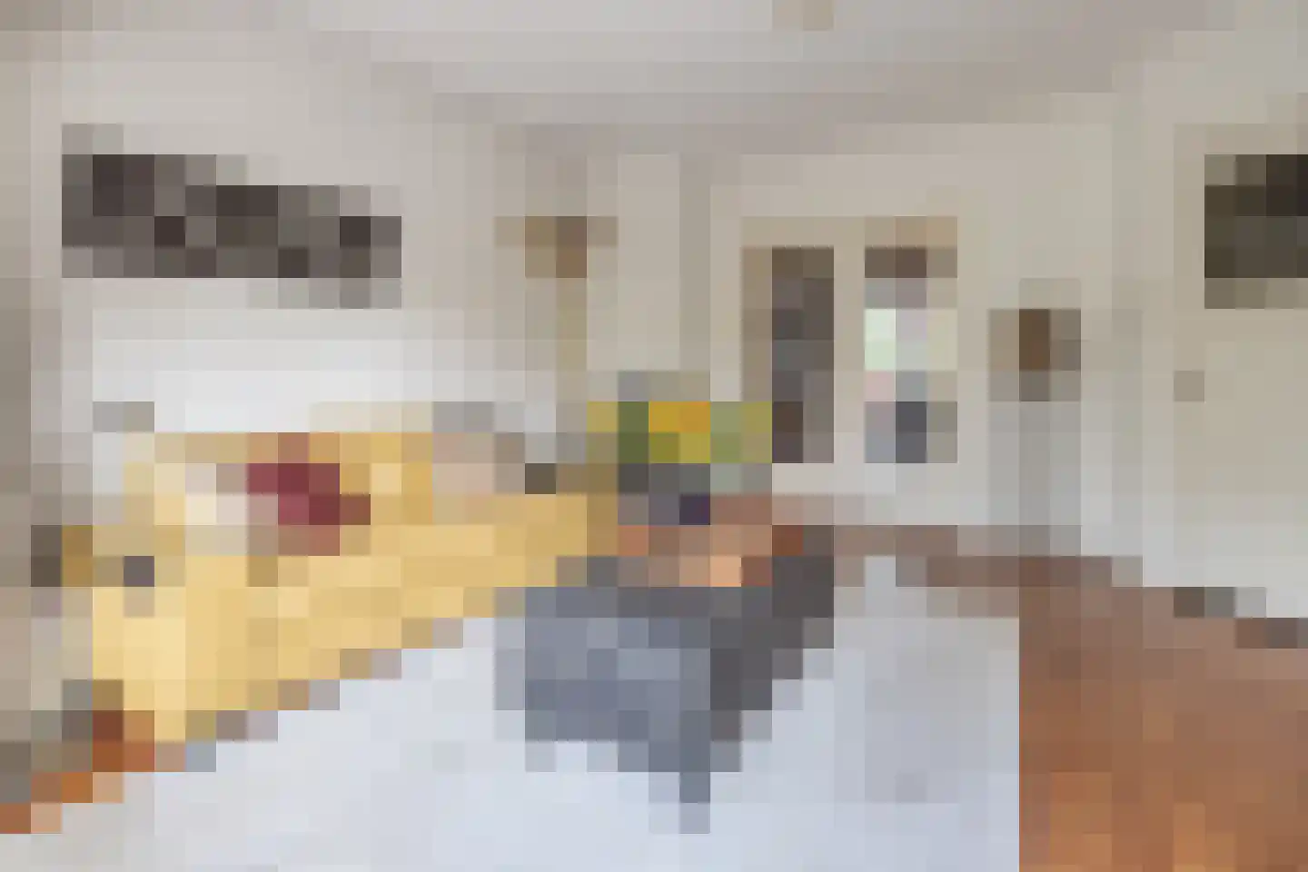 Eemnesserweg 255 Hilversum thumbnail 9