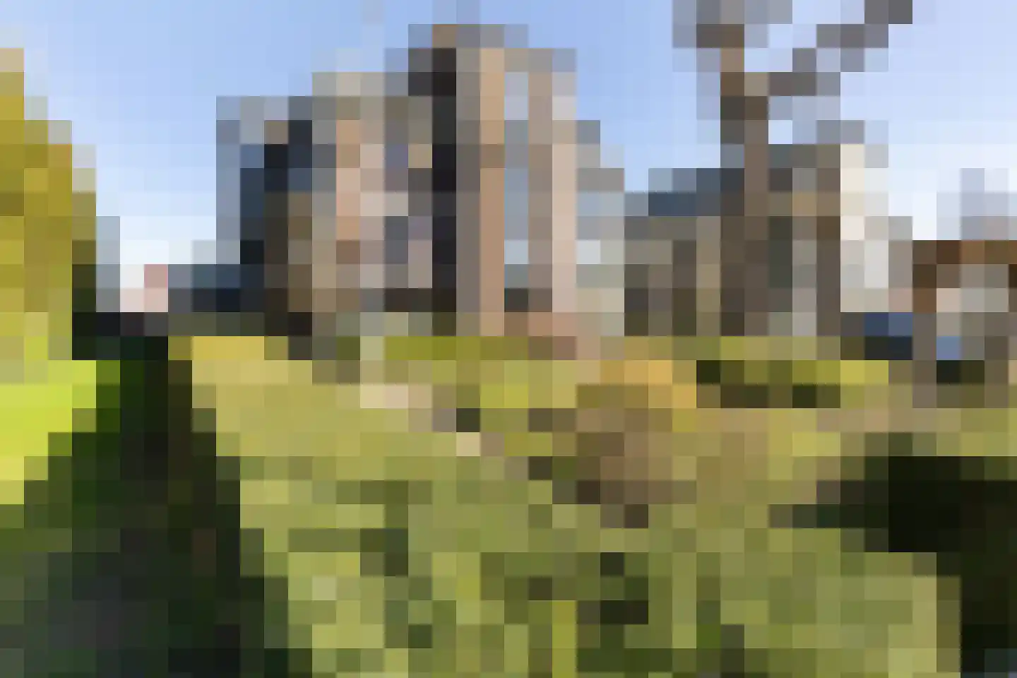 Eemnesserweg 26 0002 Baarn thumbnail 18