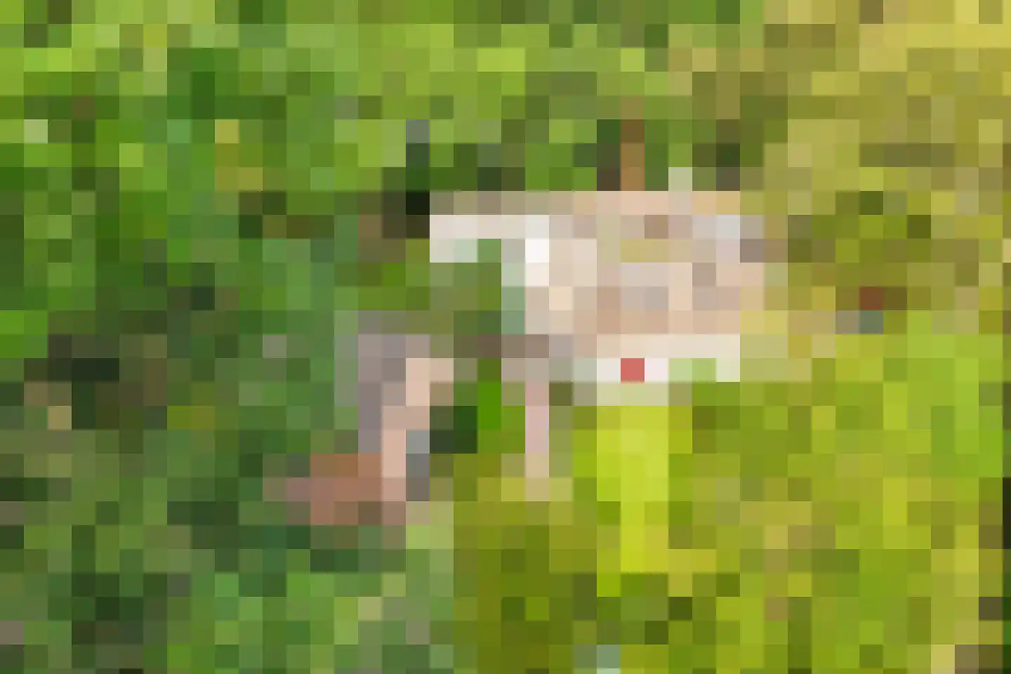 Eemnesserweg 27 Blaricum thumbnail 11