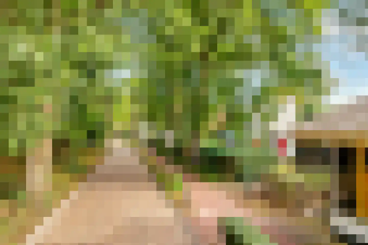 Eemnesserweg 27 Blaricum thumbnail 12