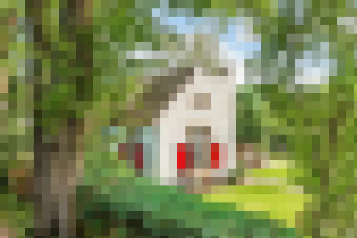 Eemnesserweg 27 Blaricum thumbnail 13