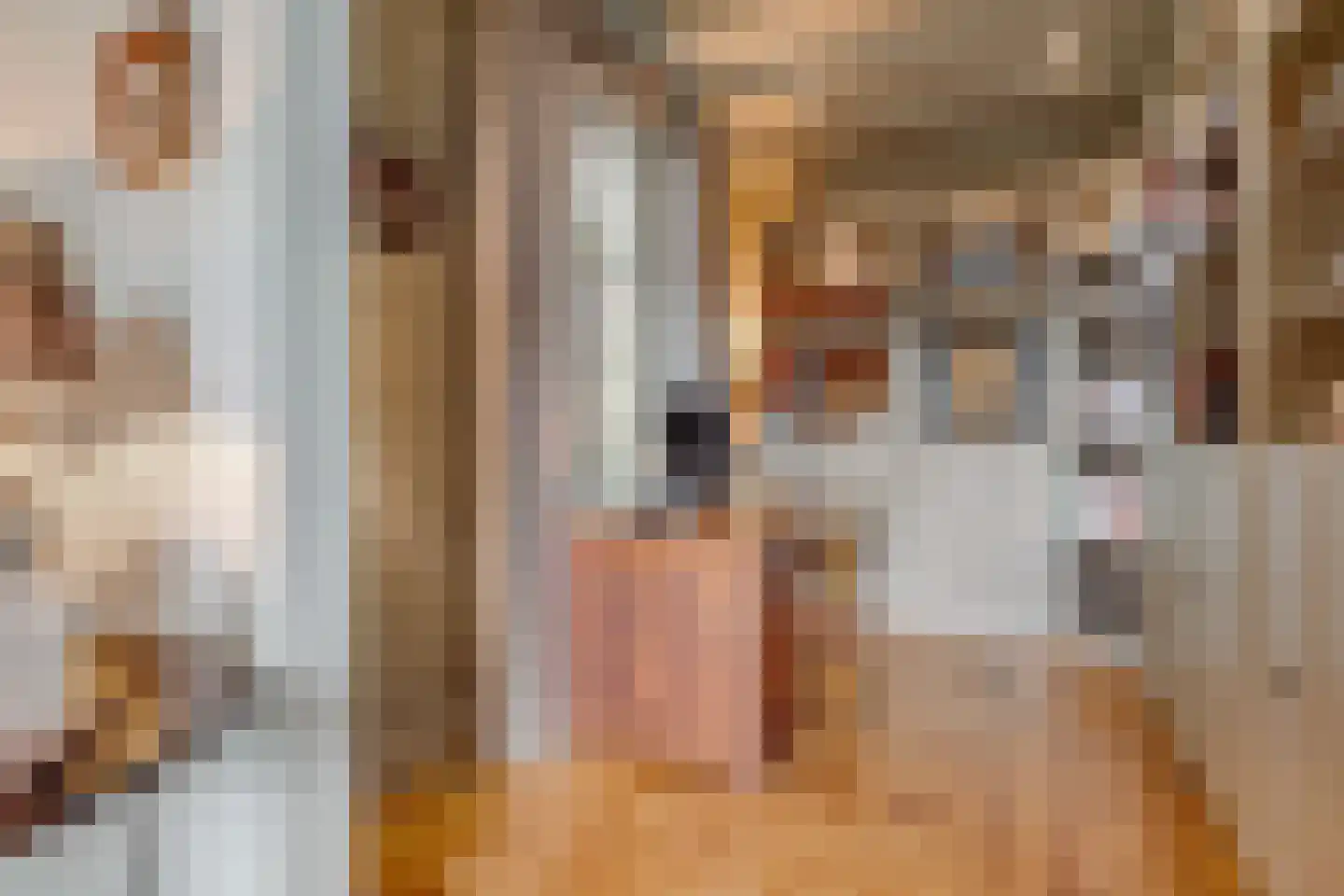Eemnesserweg 27 Blaricum thumbnail 18