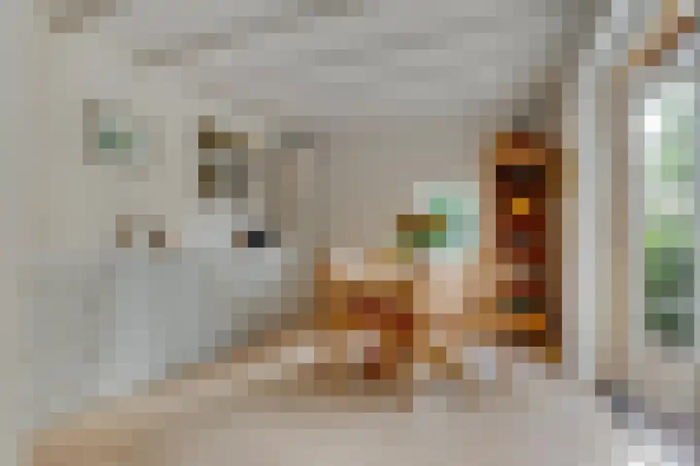 Eemnesserweg 27 Blaricum thumbnail 22
