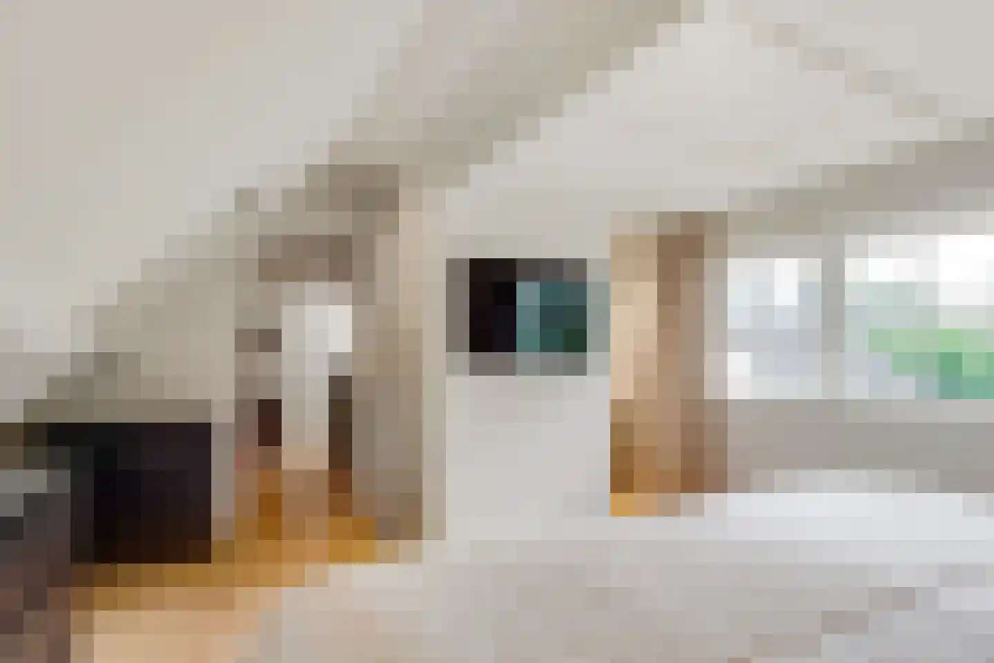 Eemnesserweg 27 Blaricum thumbnail 32