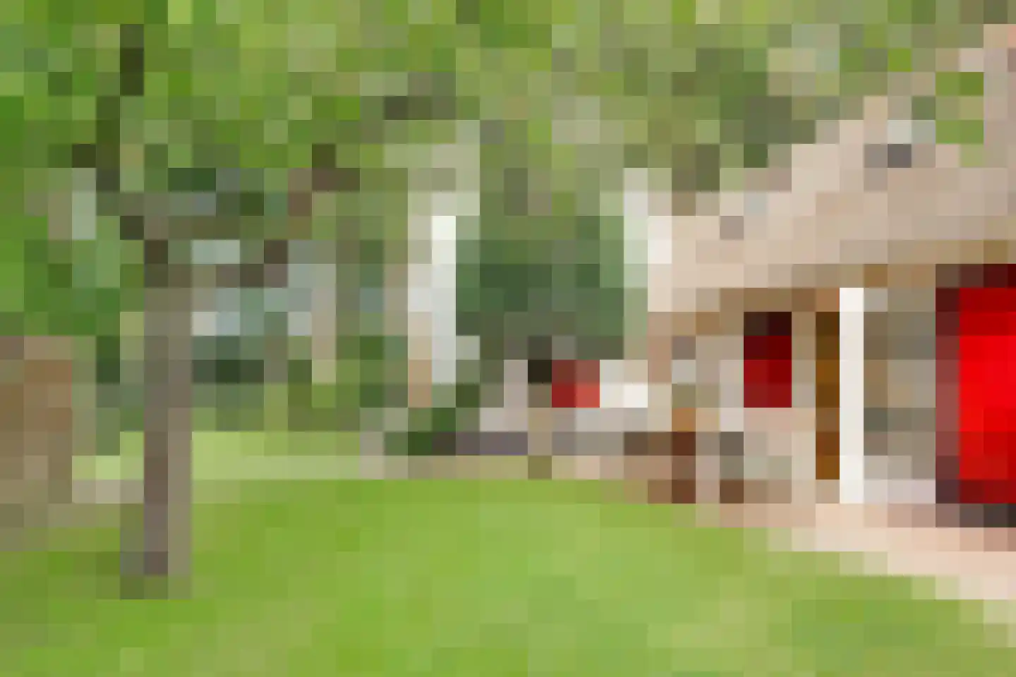 Eemnesserweg 27 Blaricum thumbnail 40