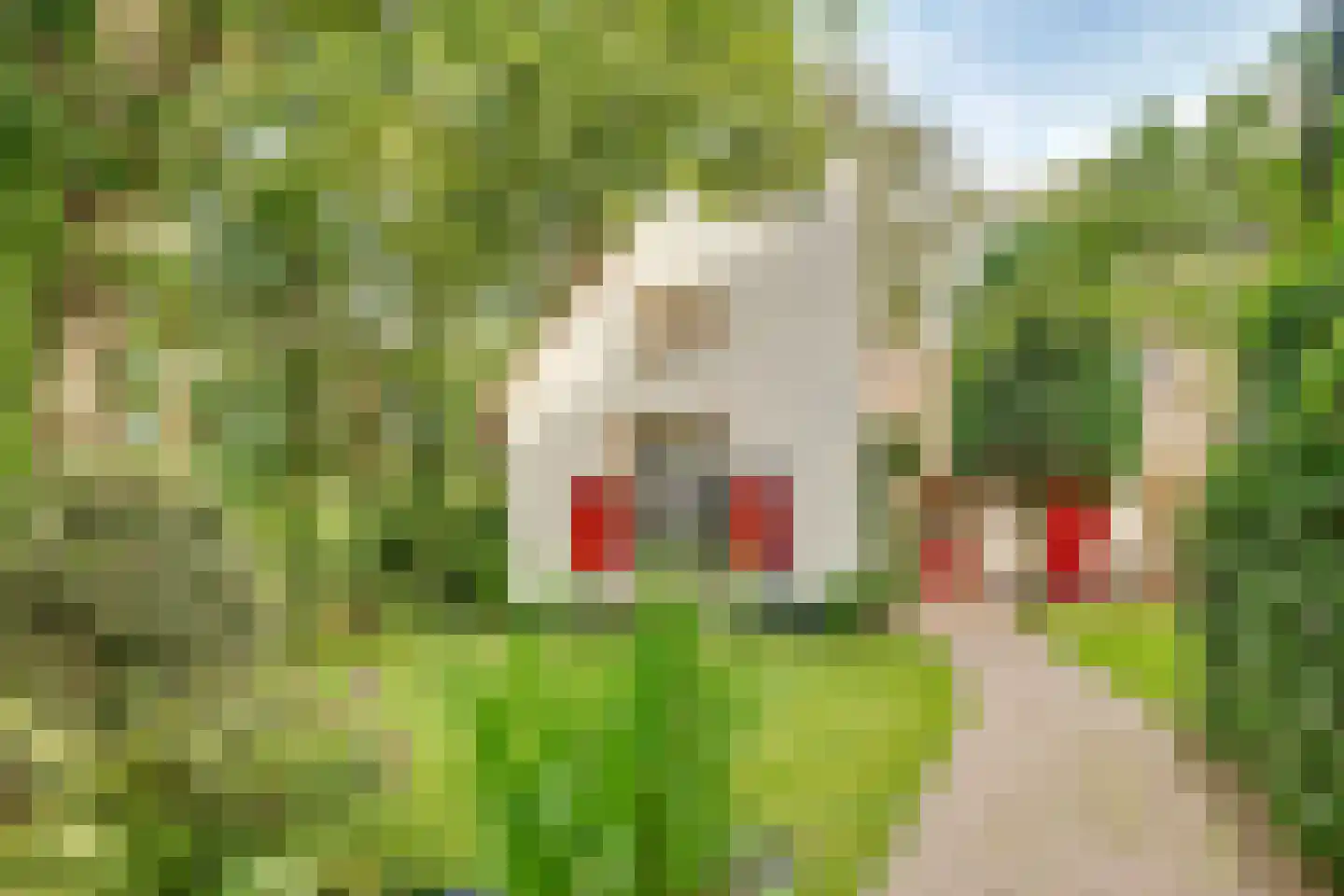 Eemnesserweg 27 Blaricum thumbnail 5