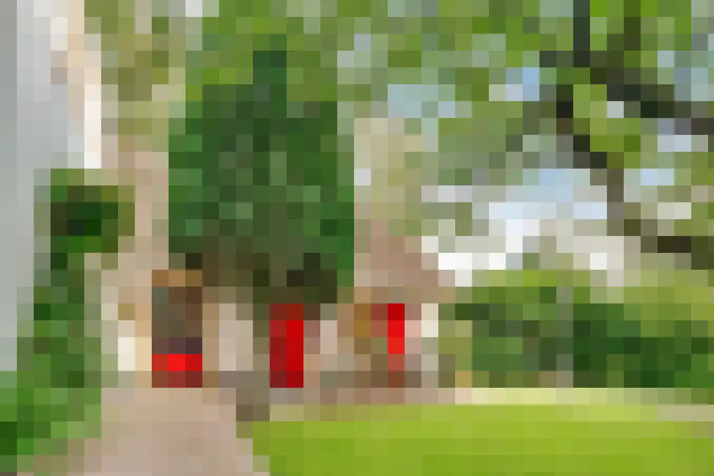 Eemnesserweg 27 Blaricum thumbnail 6