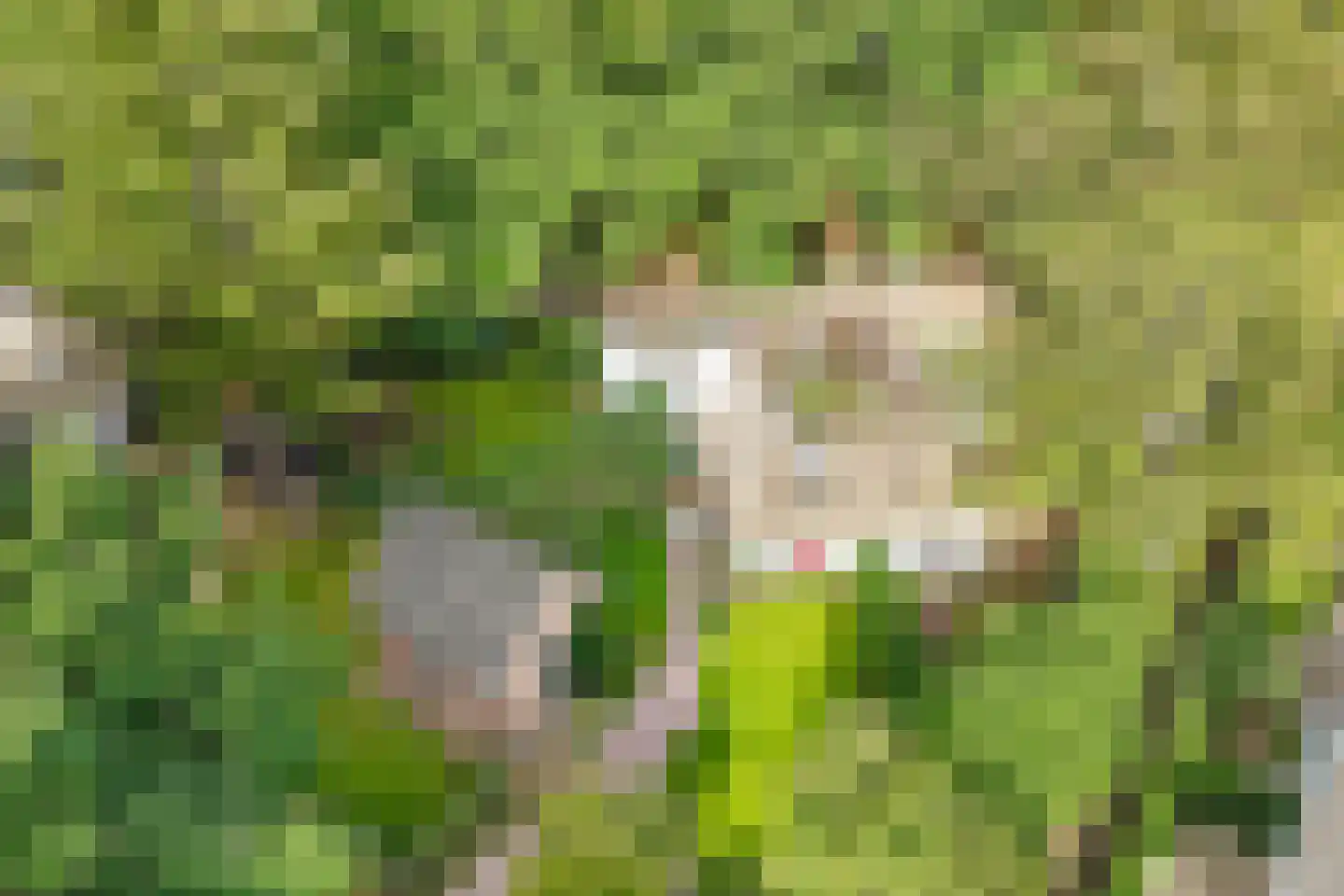 Eemnesserweg 27 Blaricum thumbnail 7