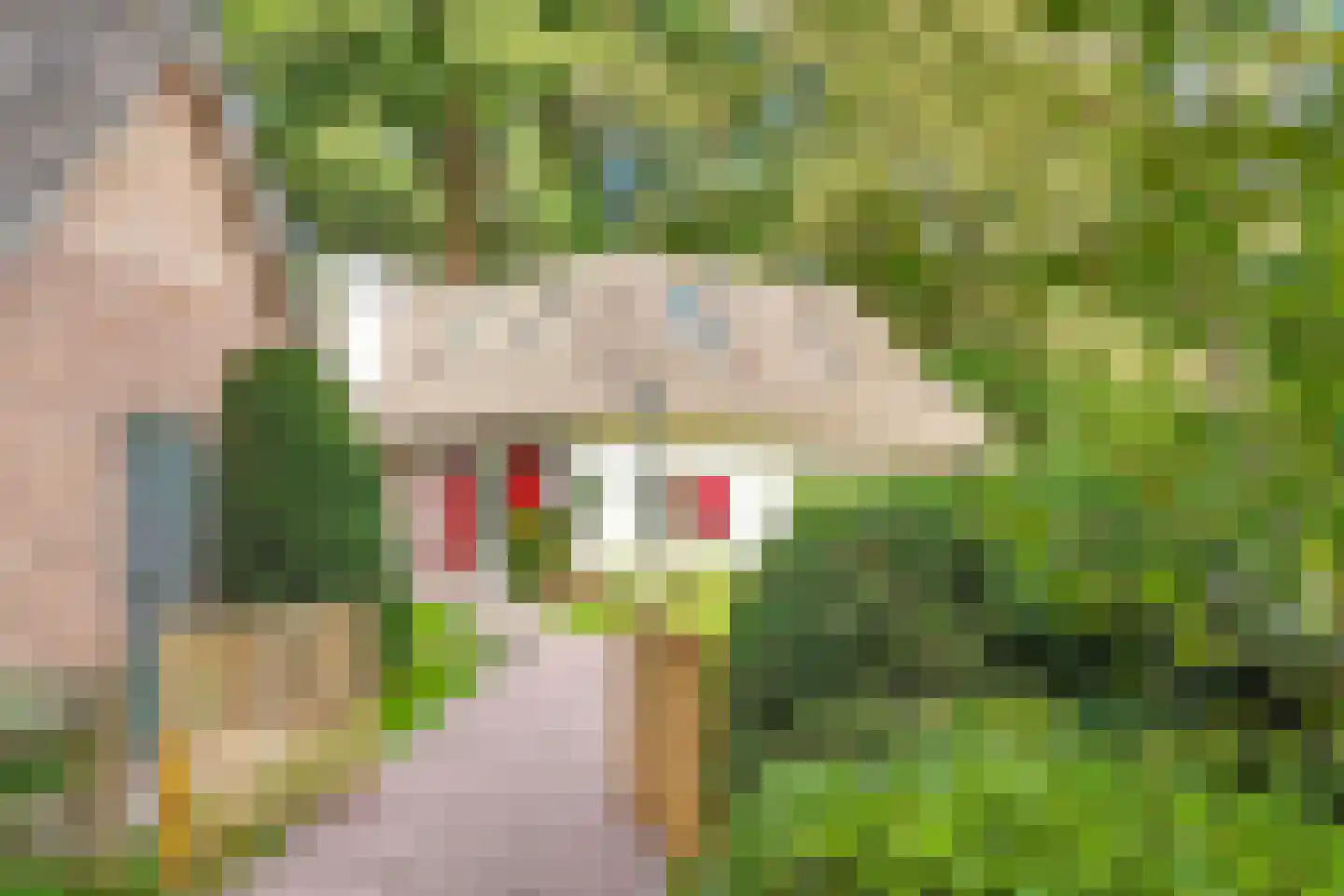 Eemnesserweg 27 Blaricum thumbnail 8