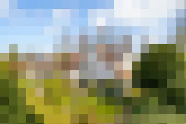 Eemnesserweg 29 in Laren