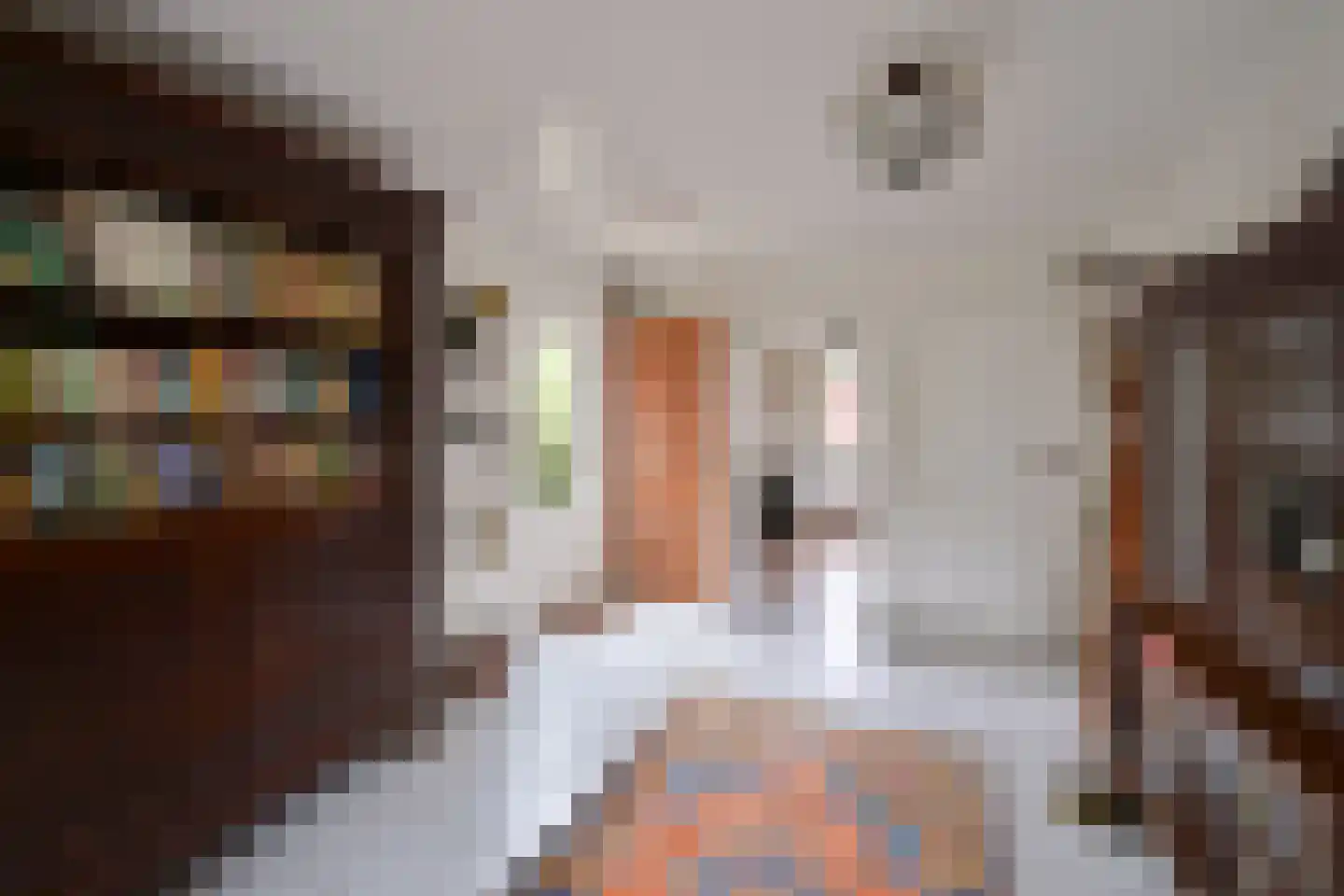 Eemnesserweg 29 Huizen thumbnail 10