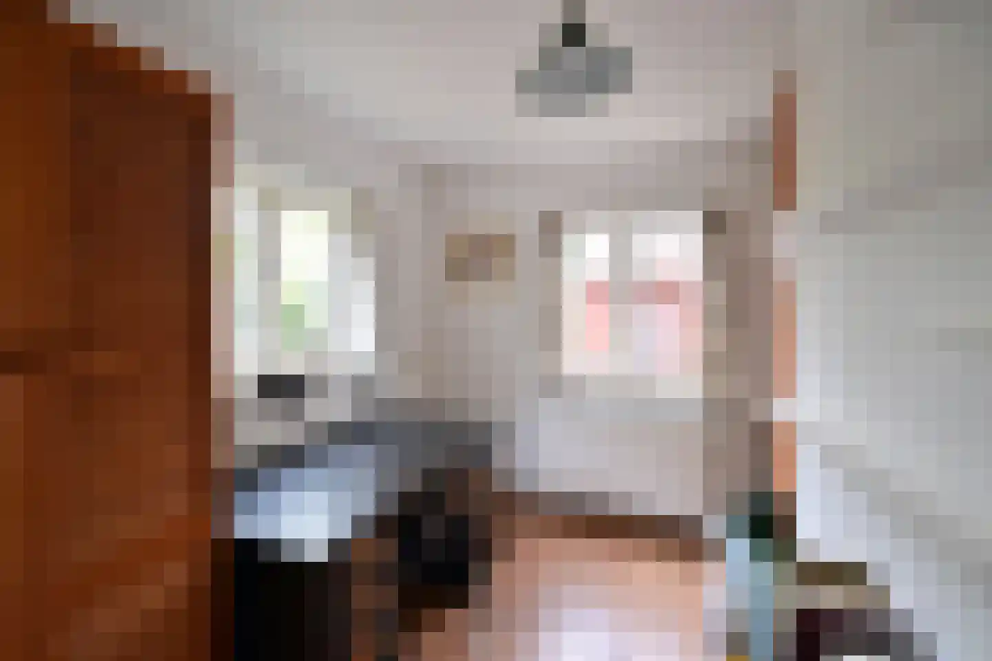 Eemnesserweg 29 Huizen thumbnail 11