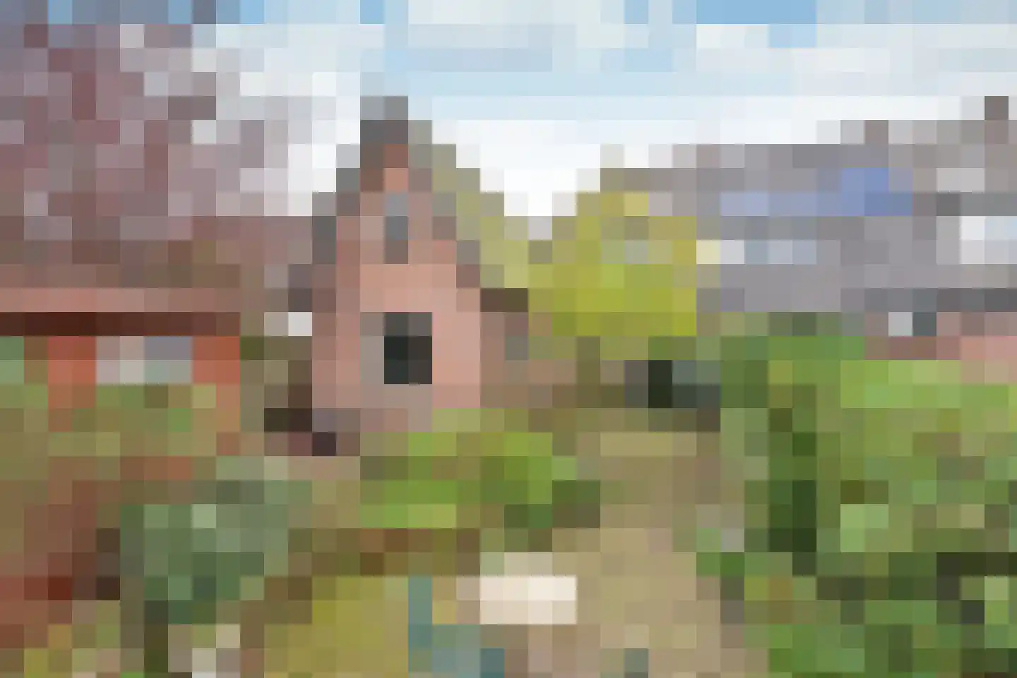 Eemnesserweg 29 Huizen thumbnail 4