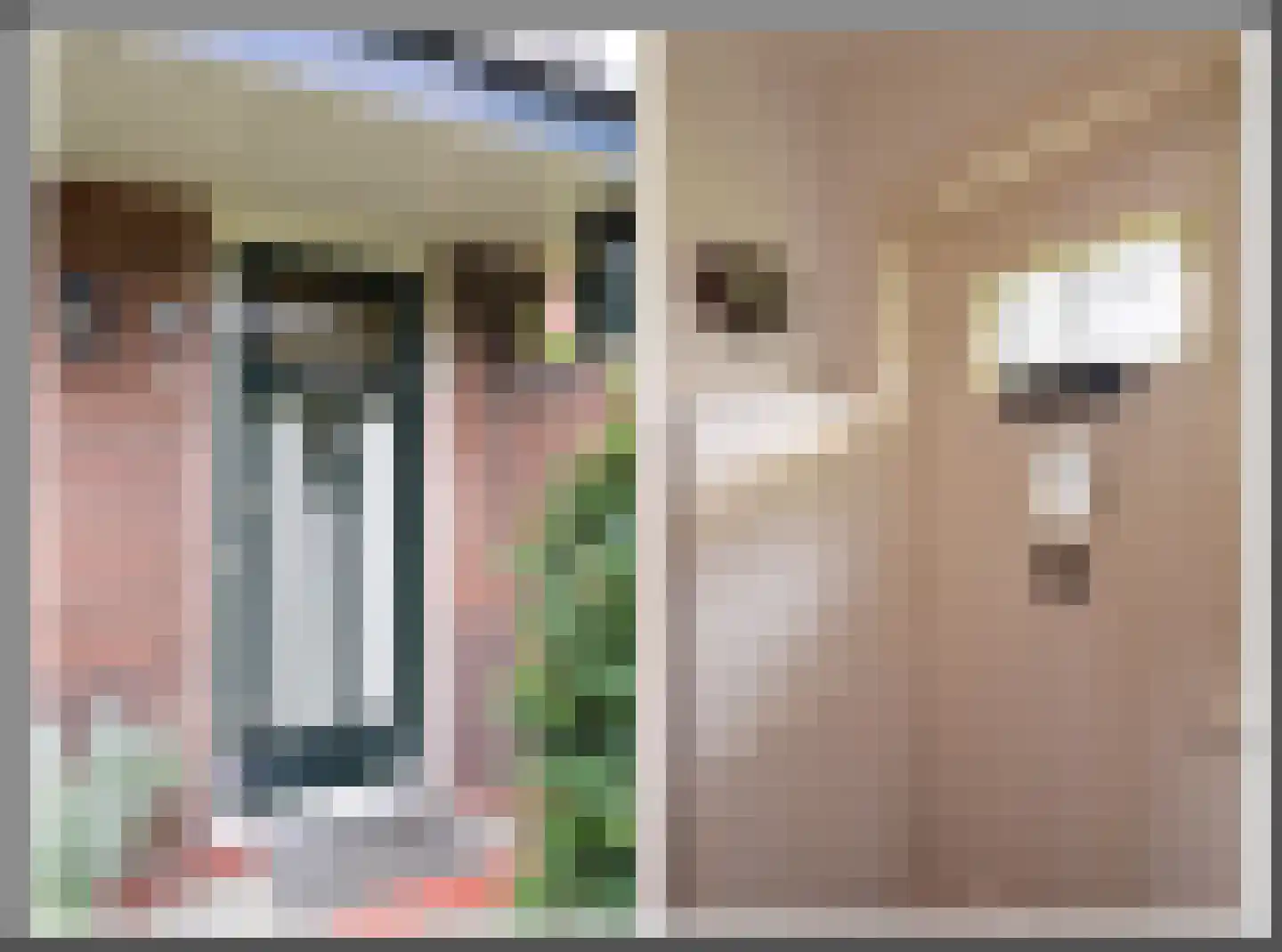 Eemnesserweg 29 Huizen thumbnail 6