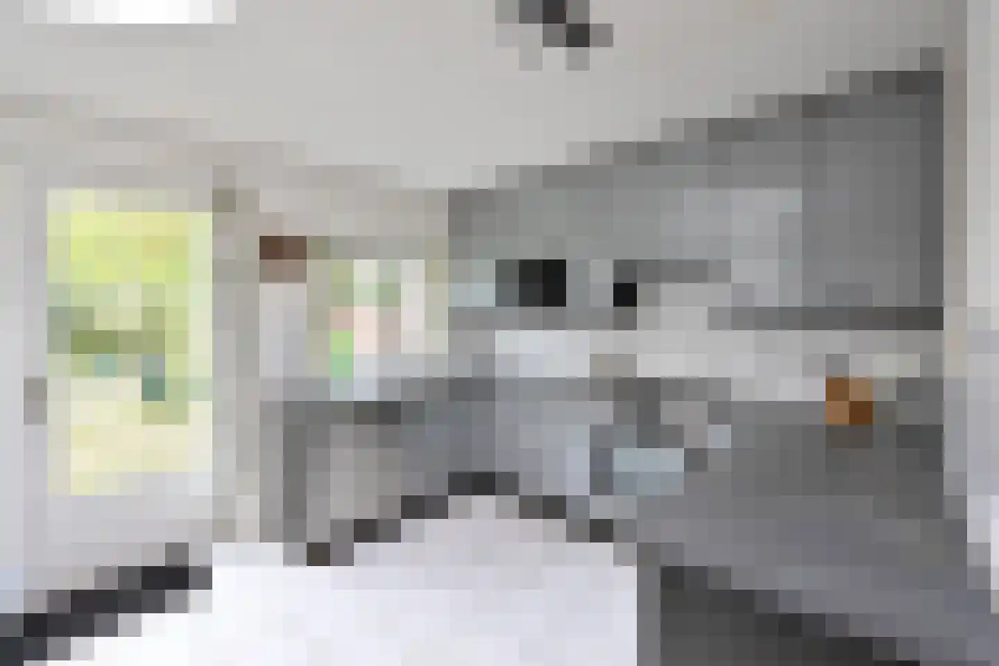 Eemnesserweg 29 Huizen thumbnail 8