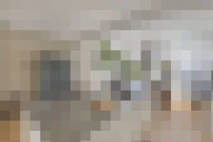 Eemnesserweg 33 Huizen thumbnail 13