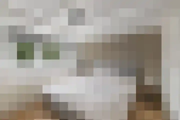 Eemnesserweg 33 Huizen thumbnail 15