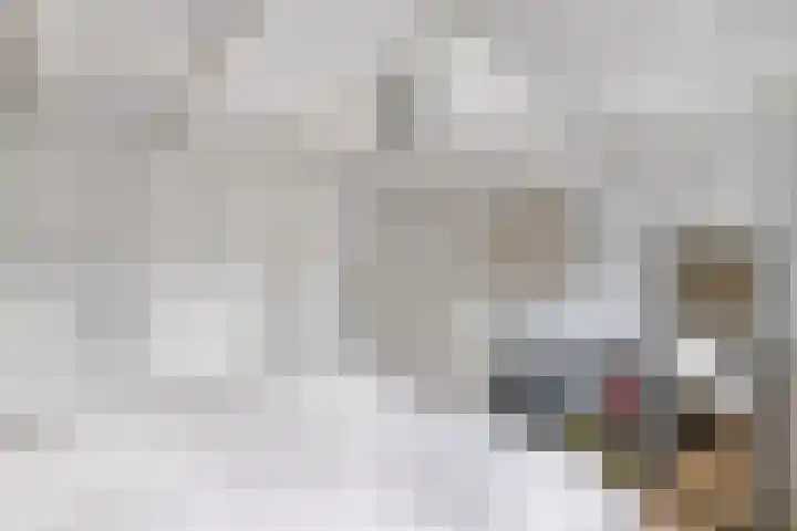 Eemnesserweg 33 Huizen thumbnail 16