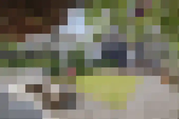 Eemnesserweg 33 Huizen thumbnail 25