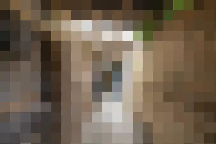 Eemnesserweg 33 Huizen thumbnail 27
