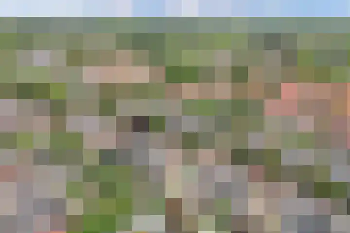Eemnesserweg 33 Huizen thumbnail 28