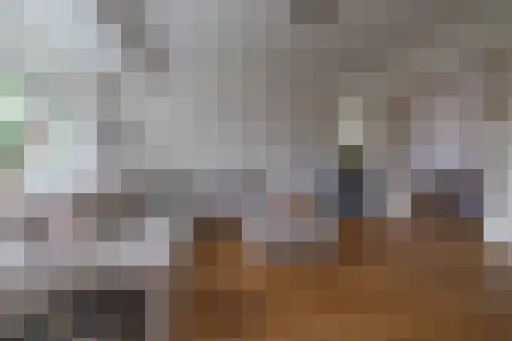 Eemnesserweg 35 Hilversum thumbnail 11