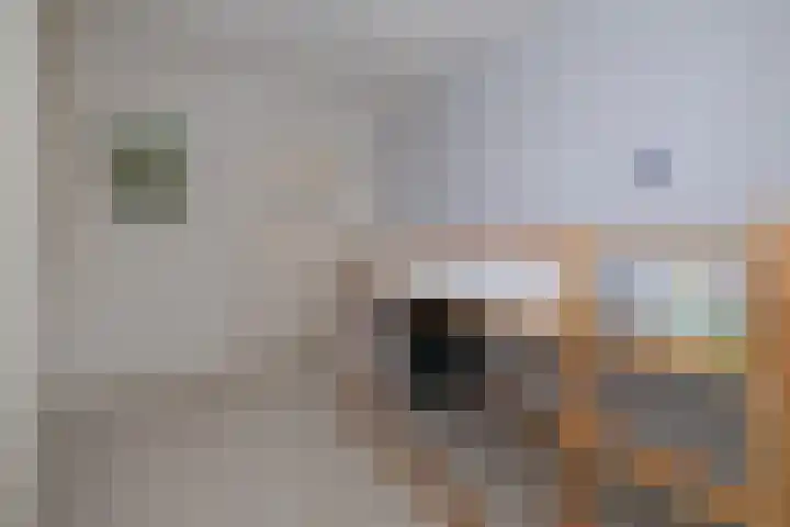 Eemnesserweg 35 Hilversum thumbnail 25