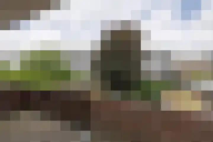 Eemnesserweg 35 Hilversum thumbnail 27