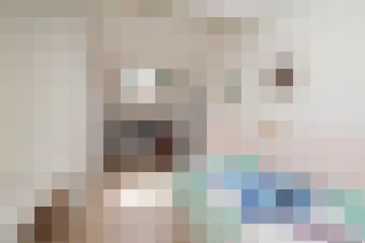 Eemnesserweg 35 Hilversum thumbnail 32