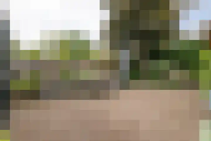 Eemnesserweg 35 Hilversum thumbnail 39
