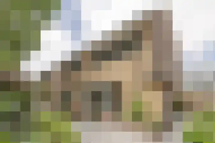 Eemnesserweg 35 Hilversum thumbnail 4