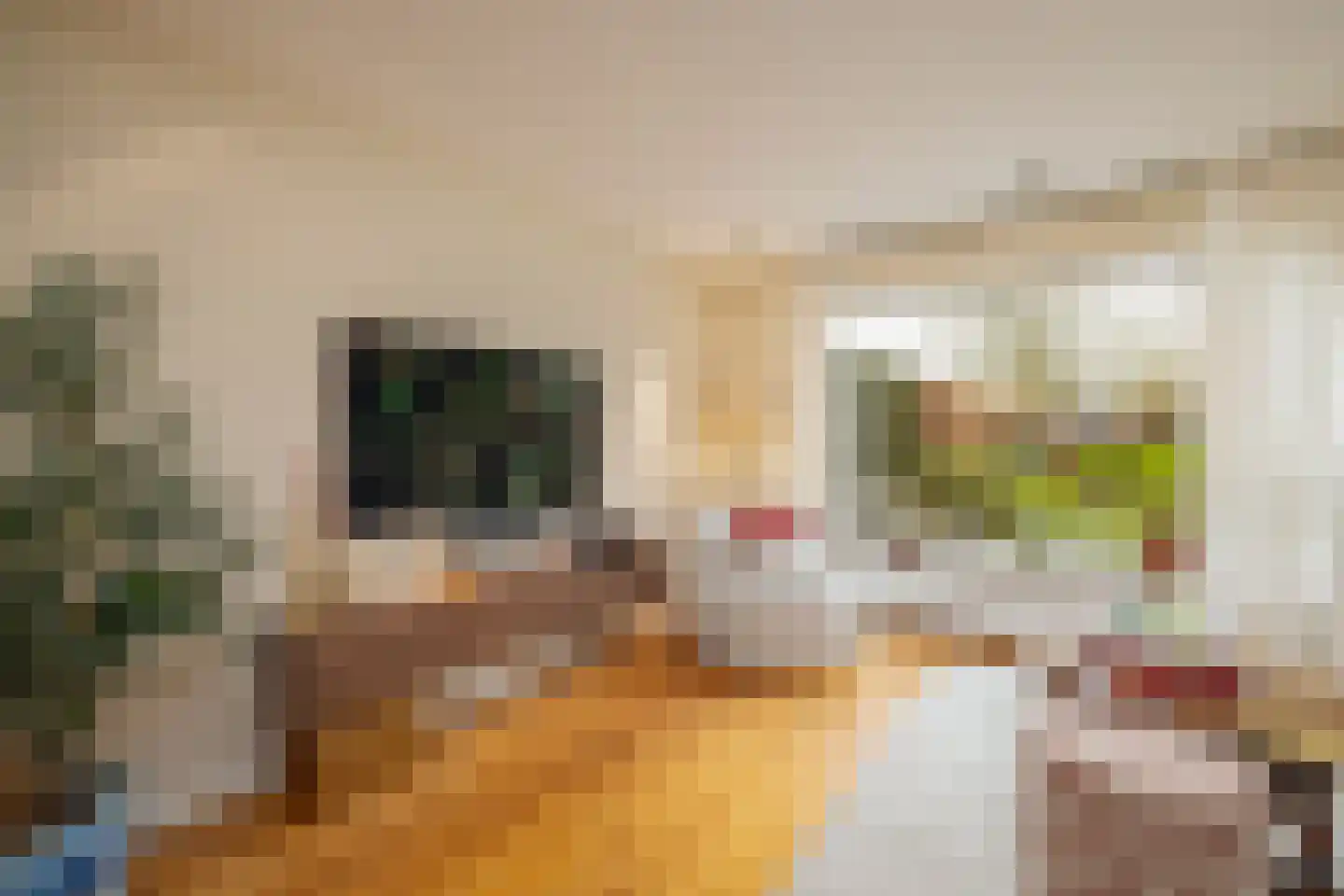 Eemnesserweg 39 Laren thumbnail 10