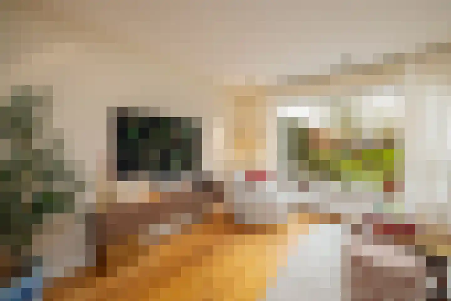 Eemnesserweg 39 Laren thumbnail 10