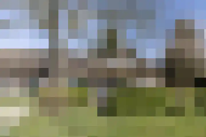 Eemnesserweg 4 Blaricum thumbnail 10