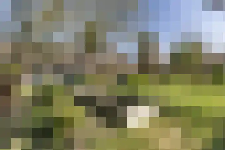 Eemnesserweg 4 Blaricum thumbnail 11