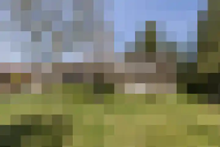 Eemnesserweg 4 Blaricum thumbnail 12