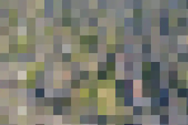 Eemnesserweg 4 Blaricum thumbnail 25