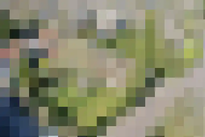 Eemnesserweg 4 Blaricum thumbnail 26